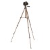50-Inch Lightweight Tripod with Bag