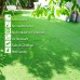 High Density Artificial Grass for Balcony, Lawn, Garden 2x4 feet 