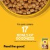 Pedigree Adult Dry Dog Food- Chicken & Vegetables, 1.2kg Pack