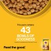 Pedigree Adult Dry Dog Food- Chicken & Vegetables, 1.2kg Pack