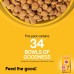 Pedigree Puppy Dry Dog Food- Chicken & Milk, 1.2kg Pack