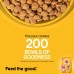 Pedigree Puppy Dry Dog Food- Chicken & Milk, 1.2kg Pack